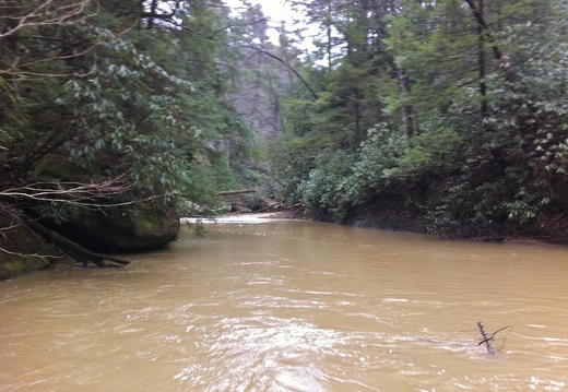 Clifty Wilderness, Swift Camp Creek and Purgatory Bend